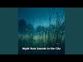 City Rain After Midnight, Pt.16