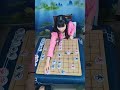 乘风破浪 小鬼闯关 抖音创作者大会 象棋 天天象棋 休闲娱乐 @象棋哥张继红