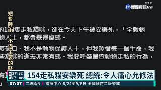 154走私貓安樂死 總統:令人痛心允修法｜華視新聞 20210822