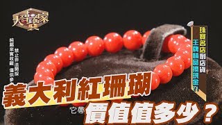 【精華版】義大利紅珊瑚 價值究竟值多少？