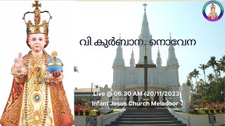 വി.കുർബാന, നൊവേന | 20.11.2023 | Holy Mass Live | Syro Malabar Holy Qurbana | 06.30 AM