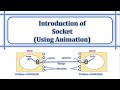What is socket | How socket works | Types of Sockets | Socket Address | TCP Socket | UDP Socket