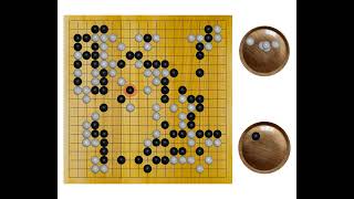 O Meien(9p) - Yuki Satoshi(8p), 1995-02-23, 20th Meijin, Result: W+R