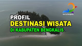 Ayo ke Bengkalis: PROFIL DESTINASI WISATA DI NEGERI JUNJUNGAN