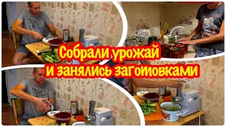 СОБРАЛИ УРОЖАЙ И ЗАНЯЛИСЬ ЗАГОТОВКАМИ/УРОЖАЙ ПОМИДОР/ УРОЖАЙ ПЕРЦА/КАК ПЕРЕРАБОТАТЬ МНОГО ОВОЩЕЙ