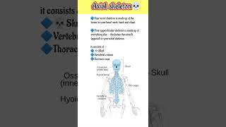Axial skeleton In Hindi 💀 #skull #skeleton #youtubeshorts #medical#shorts #shortvideo