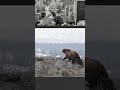 Scroll Animation in 15 min | JavaScript | Dev2Web