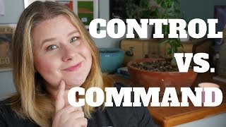 CONTROL VS COMMAND in PITCHING - Baseball Basics