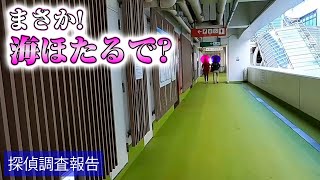 【探偵のガチ調査】グランピング不倫！Part2 海ほたるで奥様と男性は寄り添い！　#修羅場 #2ch #動画編集 #修羅場な話 #サレ妻 #不倫 #リサーチ #熟年離婚 #妻の浮気 #ライブカメラ