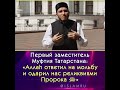 «Аллах ответил на мольбу и одарил нас реликвиями Пророка ﷺ»