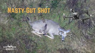 Gut Shot Deer Recovered Hours after shot