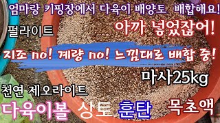 엄마랑 신나게 다육이 배양토 만들어요! 기준도 없고 지조도 없이 그때그때 다른 배양토 배합!