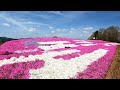 おかんと二人旅　part100　世羅高原　flower village 花夢の里