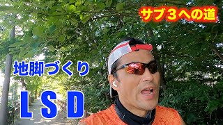 【サブ３への道】地脚づくりLSD