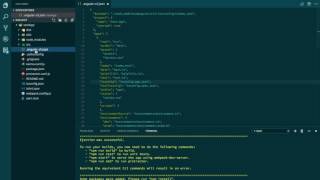 Angular CLI | How to eject webpack config from an Angular CLI project