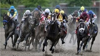 2009 Preakness Stakes