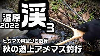 湿原渓3 秋の遡上アメマス釣行【渓流釣り】2022