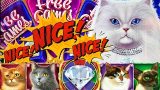 ★BIG WIN!★ I WANT ALL THE CATS!! 😻 KITTY GLITTER GRAND Slot Machine (IGT)