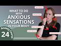 What to do with Anxiety in Your Body - Break the Anxiety Cycle 24/30 Anxious sensations
