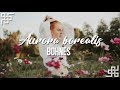 bohnes // aurora borealis {sub español}