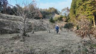 本日の草刈り：5段目：ジズライザープロエア・ナイロンコード