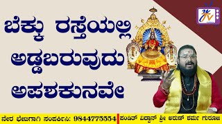 ಬೆಕ್ಕು ರಸ್ತೆಯಲ್ಲಿ ಅಡ್ಡಬರುವುದು ಅಪಶಕುನವೇ ? When the cat gets in the way, good and bad,