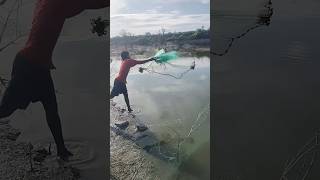 வீசு வலை எப்படி #fishing #shotrs #netfishingriver