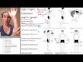 Articulations 6- Anatomical movements