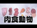 1年【生物】草食動物と肉食動物