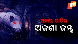 ATMA  PRETATMA PARAMATMA | ରାତିର ଅନ୍ଧାରରେ ମାତିଲେ ଅଜଣା ଜନ୍ତୁ