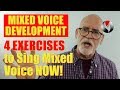 Mixed Voice Development - 4 Exercises to Sing Mixed Voice NOW!