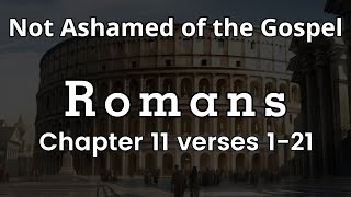 The Book Of Romans – Chapter 11 Verse 1 Through 21 – Bible Study