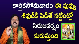 కార్తికసోమవారం ఈ ఒక్క పువ్వు శివపూజలో ఉంచితే చాలు | Karthika Masam 2020 | Machiraju Kiran Kumar