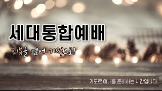 [20241215] 장유행복나눔교회 성탄절 버스킹 시연 오후예배