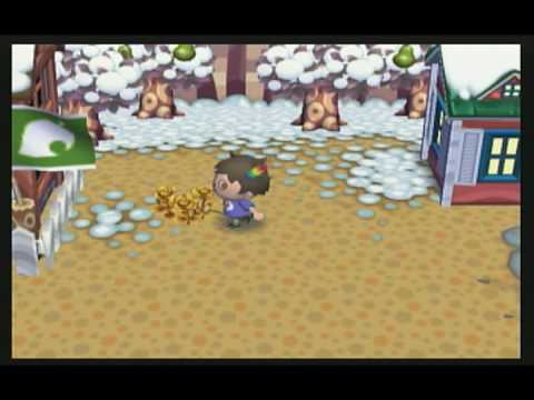 Animal Crossing City Folk - How To Get Golden Roses With Out Hacking Animal Crossing City Folk - How To Get Golden Roses With Out Hacking