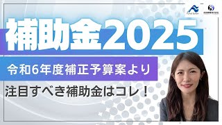 令和6年度補正予算案が閣議決定！2025年に使える補助金はコレ！