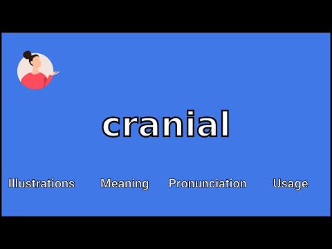 What is the root word of cranial?