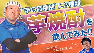 【”芋”の品種別に３種！】芋焼酎を飲んでみた！味わいがぜんぜん違う！個性を知ることで充実の”焼酎Life”をお楽しみ下さい！！