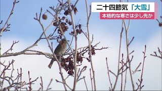 二十四節気「大雪」　本格的な冬はもう少し先【佐賀県】 (21/12/07 11:57)