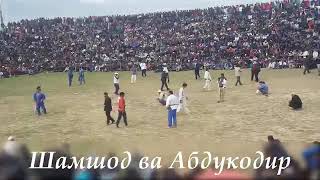 Гуштин шамшод абдуллоев 15 04 2018