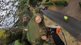 DEMONTAGE D'UN ARBRE MORT DANS LES CABLES