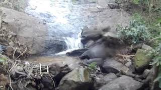 A trip to Thalachiramukku Waterfalls, Chalavara