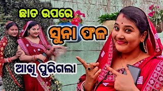 ଆଜି ମୋ ବଗିଚାରେ ନୂଆ ଅତିଥି 😲😱🫣#𒆜foryou @namitaskitchengarden9693