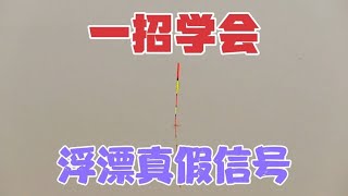 一招学会浮漂技巧，再也不担心小杂鱼闹窝，保证让你越钓越爽