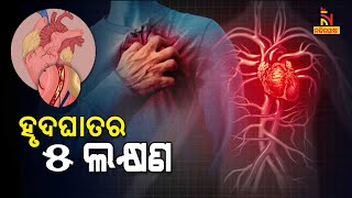 What is a Heart Attack? These Symptoms Should Not Be Ignored |NandighoshaTV