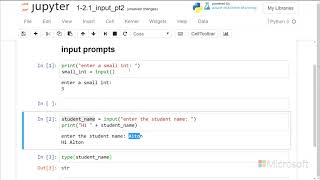 input prompts - Introduction to Python: Absolute Beginner Module 1 Video 16
