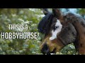 Making of a REALISTIC hobbyhorse!