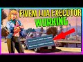 FiveM Mod Menu Internal + Lua Executor + Dumper/Decrypter + Anti Cheat Blocker + ASI Bypass + Aimbot