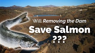 Will Dam Removal Save Salmon on the Klamath River?