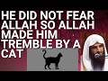 HE DID NOT FEAR ALLAH so ALLAH made HIM TREMBLE by A CAT - Sheikh Abdur Razzaq al Badr حفظه الله